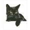 Diamond Dotz® Midnight Cat Diamond Painting Artwork Kit